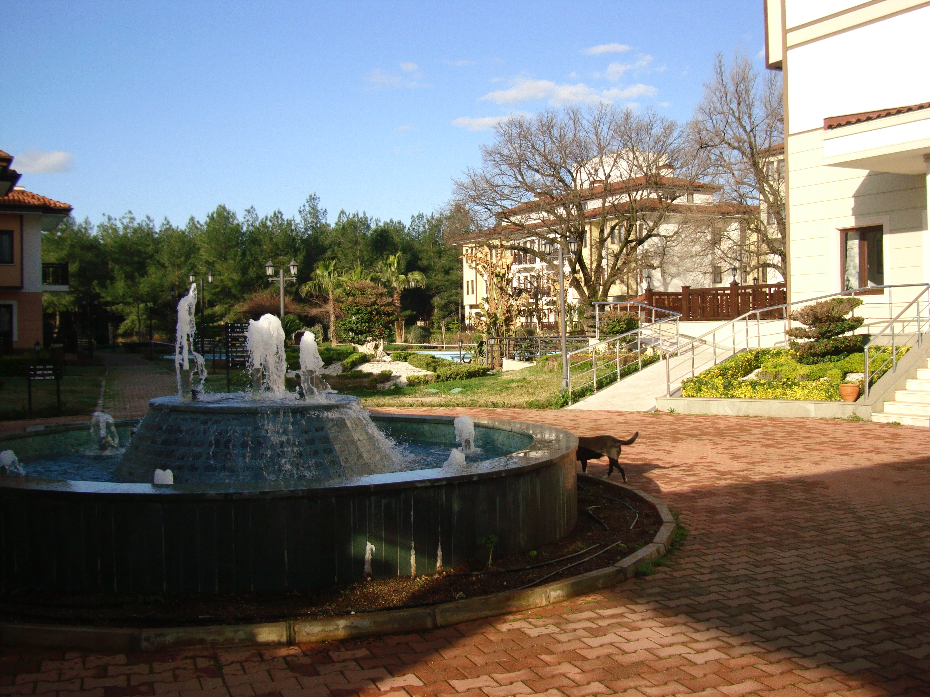 DSC01012