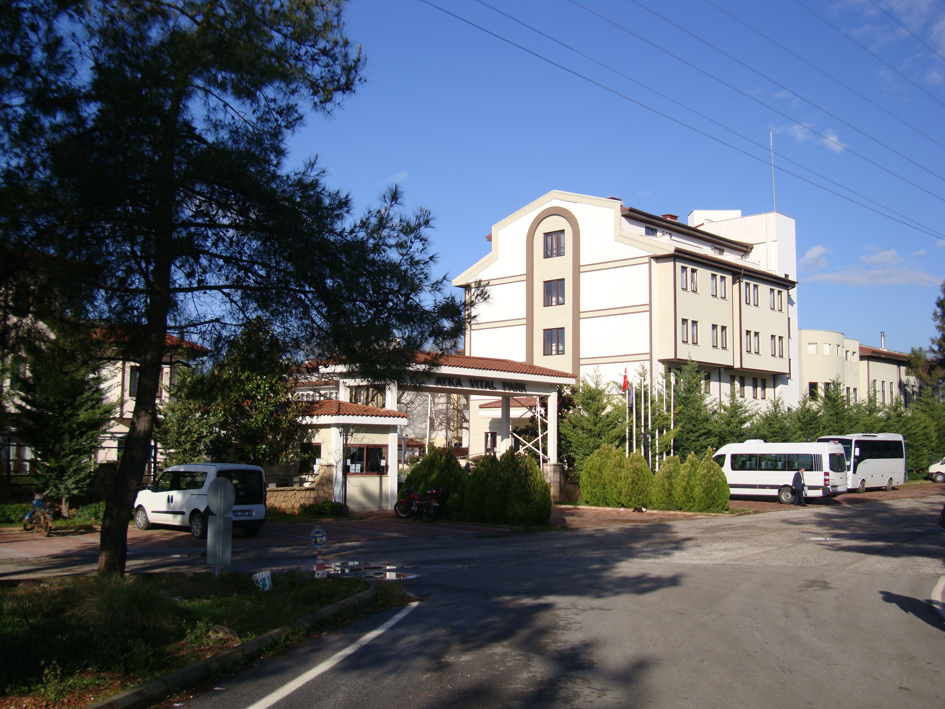 DSC01013